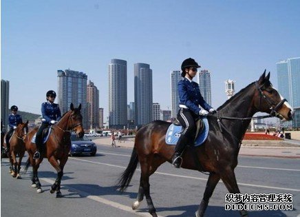 大连女骑警